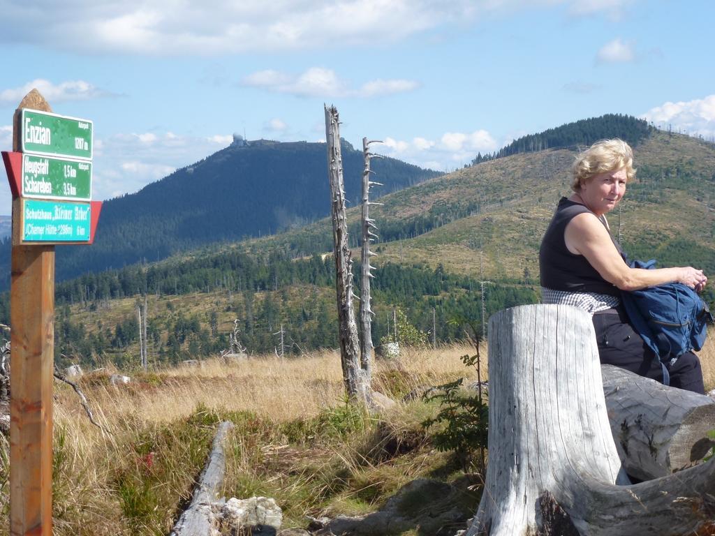Ferienwohnungen Anneliese&Fritz Wagerer Rimbach  Esterno foto